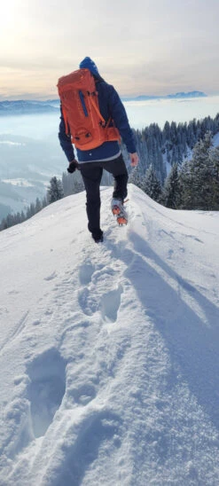 Ortovox - Peak 35 - Sac à Dos De Montagne -Extérieur Camping Magasin ortovox peak 35 tourenrucksack 479eeaaef0ad34f8d4b20e458b7c94a1 1