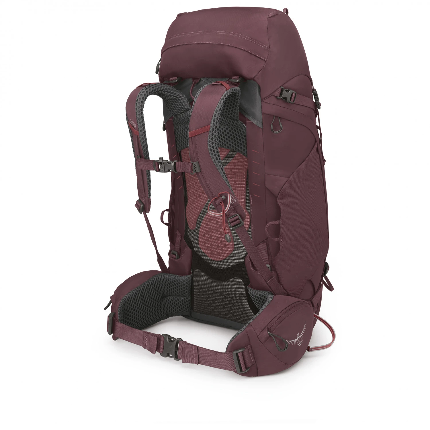 Osprey - Women's Kyte 48 - Sac à Dos De Trekking 3 Osprey - Women's Kyte 48 - Sac à Dos De Trekking – Image 3