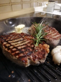 Petromax - Grill-Feuerpfanne - Poêle -Extérieur Camping Magasin petromax grill feuerpfanne pfanne c1740fcd8ca6f3d497e9156a747265aa 1